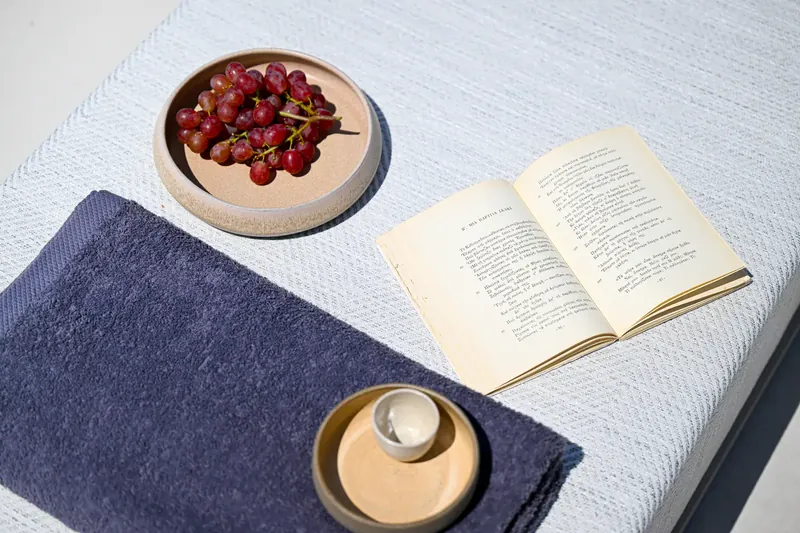 An open book and a bowl of cherries on a lounger